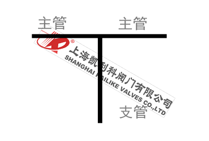 T型過濾器管路支管圖